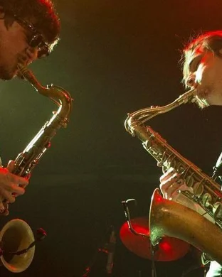 Linda Bott Experience