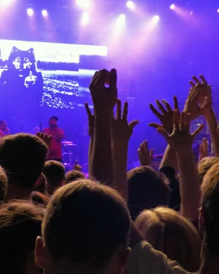 Judah and The Lion