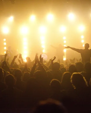 Linda Bott Experience