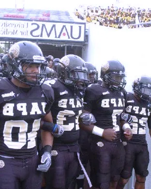 Arkansas-Pine Bluff Golden Lions