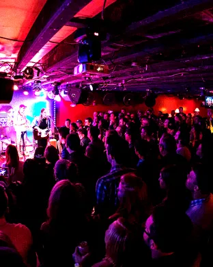 Live concert by Buffalo Traffic Jam