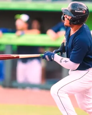 Columbia Fireflies vs. Charleston Riverdogs sports event