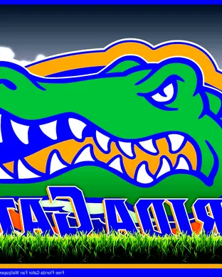 Florida Gators vs. Missouri Tigers
