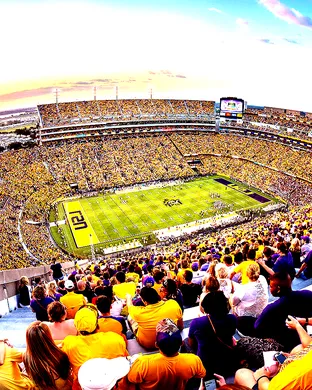 LSU Tigers