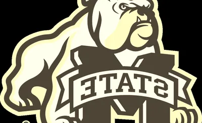 Mississippi State Bulldogs
