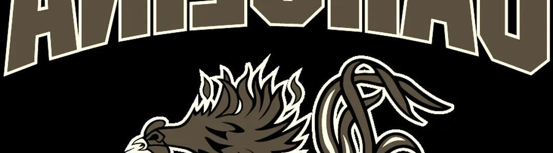 South Carolina Gamecocks