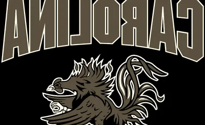 South Carolina Gamecocks