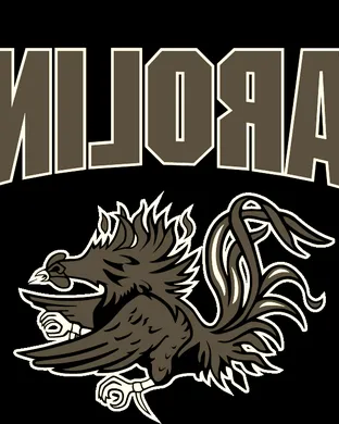 South Carolina Gamecocks