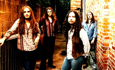 The Band Feel