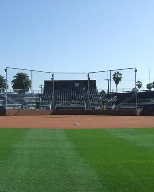 2026 Missouri Tigers Football Season Tickets (Includes Tickets To All Regular Season Home Games)