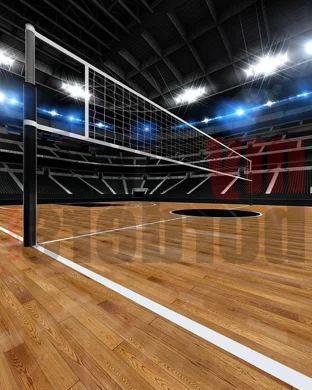 LSU Tigers Women's Volleyball vs. Missouri Tigers sports event